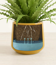 Load image into Gallery viewer, Mustard stand:all