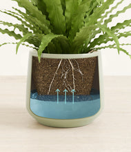 Load image into Gallery viewer, Turquoise stand:all