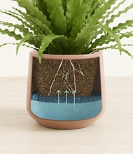 Load image into Gallery viewer, Calm Rose stand:all