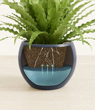 Load image into Gallery viewer, Deep Navy stand:all