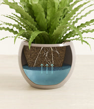 Load image into Gallery viewer, Desert Brown stand:all