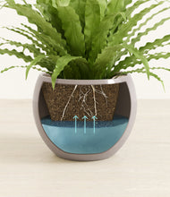 Load image into Gallery viewer, Winter Clouds stand:all