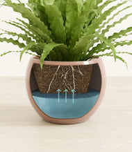 Load image into Gallery viewer, Calm Rose stand:all