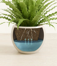 Load image into Gallery viewer, Shiny EggWhite stand:all