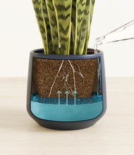 Load image into Gallery viewer, Deep Navy