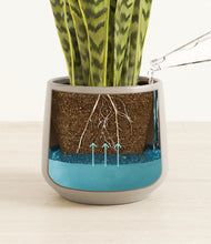 Load image into Gallery viewer, Eternal Gray