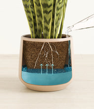 Load image into Gallery viewer, Gentle PInk