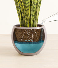 Load image into Gallery viewer, Winter Clouds