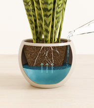 Load image into Gallery viewer, Shiny EggWhite