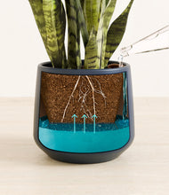 Load image into Gallery viewer, Deep Navy