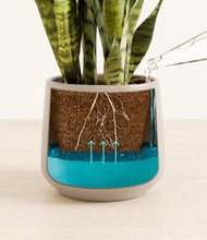 Load image into Gallery viewer, Eternal Gray