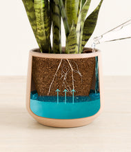 Load image into Gallery viewer, Gentle Pink