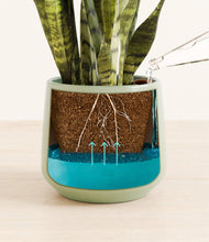 Load image into Gallery viewer, Turquoise