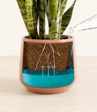 Load image into Gallery viewer, Calm Rose