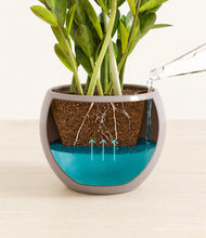 Load image into Gallery viewer, Winter Clouds