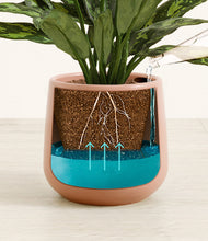 Load image into Gallery viewer, Calm Rose