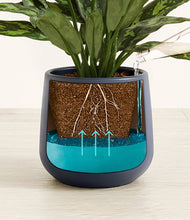 Load image into Gallery viewer, Deep Navy