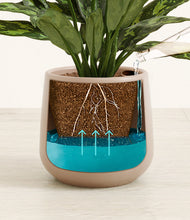 Load image into Gallery viewer, Eternal Gray