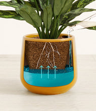 Load image into Gallery viewer, Mustard