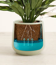 Load image into Gallery viewer, Turquoise