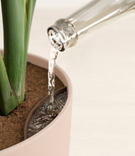 Load image into Gallery viewer, Olive Branch stand:all