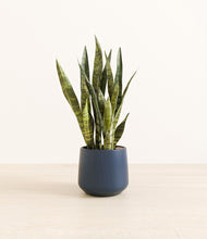 Load image into Gallery viewer, Deep Navy*****Profile