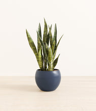 Load image into Gallery viewer, Deep Navy*****Profile