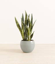 Load image into Gallery viewer, Deep Ocean*****Profile