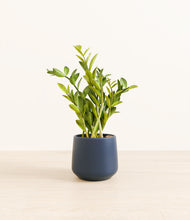 Load image into Gallery viewer, Deep Navy*****Profile