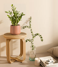 Load image into Gallery viewer, Calm Rose