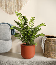 Load image into Gallery viewer, Earth Red