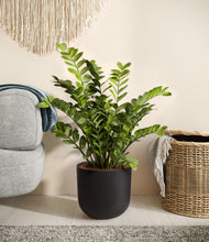 Load image into Gallery viewer, Stone Black