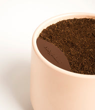 Load image into Gallery viewer, Gentle Pink