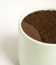 Load image into Gallery viewer, Turquoise