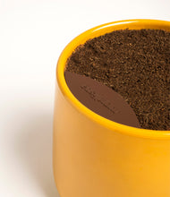 Load image into Gallery viewer, Mustard