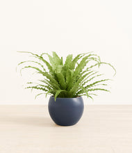 Load image into Gallery viewer, Deep Navy*****Profile