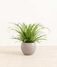 Load image into Gallery viewer, Winter Clouds*****Profile