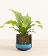 Load image into Gallery viewer, Deep Navy