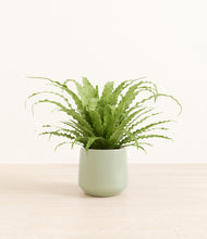 Load image into Gallery viewer, Turquoise*****Profile