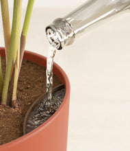 Load image into Gallery viewer, Earth Red stand:all