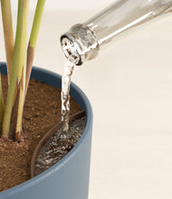 Load image into Gallery viewer, Iron Gray stand:all