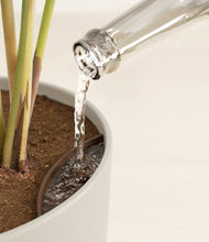 Load image into Gallery viewer, Natural Bamboo stand:all