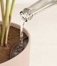 Load image into Gallery viewer, Sandy Pink stand:all