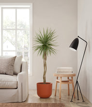 Load image into Gallery viewer, Earth Red