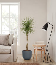 Load image into Gallery viewer, Iron Gray