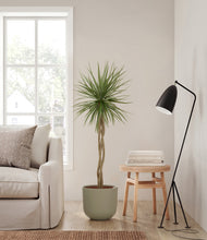 Load image into Gallery viewer, Sage Green