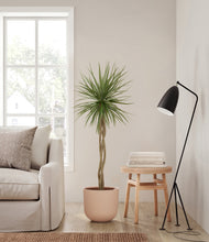 Load image into Gallery viewer, Sandy Pink