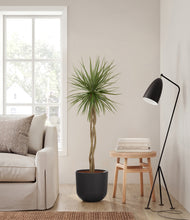 Load image into Gallery viewer, Stone Black