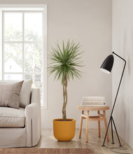 Load image into Gallery viewer, Sunset Orange