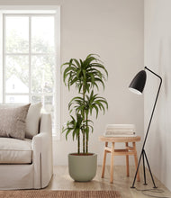 Load image into Gallery viewer, Sage Green